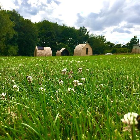 Alder Pod, Clay Bank Huts 호텔 Ingleby Greenhow 외부 사진