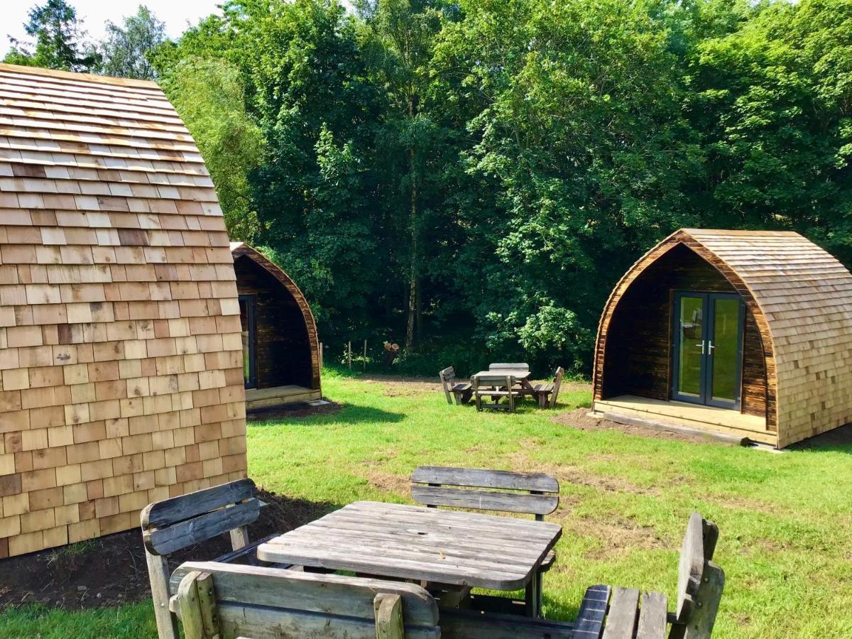 Alder Pod, Clay Bank Huts 호텔 Ingleby Greenhow 외부 사진