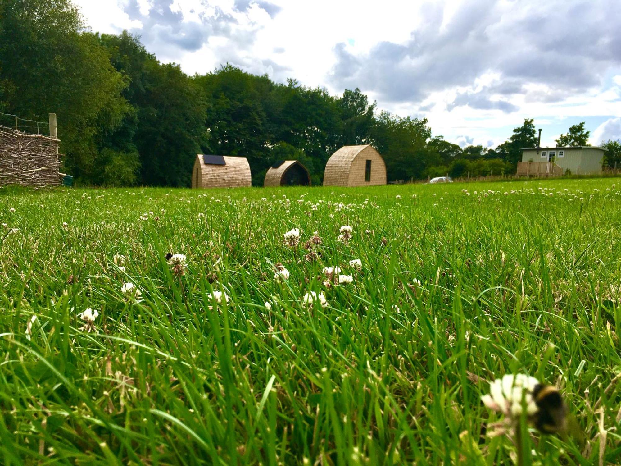 Alder Pod, Clay Bank Huts 호텔 Ingleby Greenhow 외부 사진